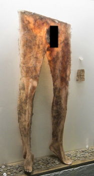 毛骨悚然 冰岛巫术博物馆展出人皮裤